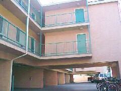 2637 Ellendale Place - Photo 3 of 50