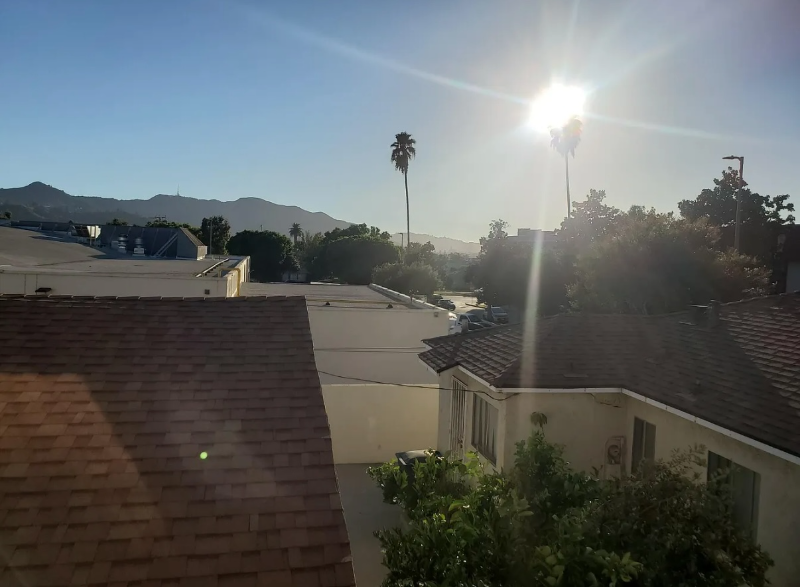 1128 Raymond Ave #5 - Photo 4 of 14