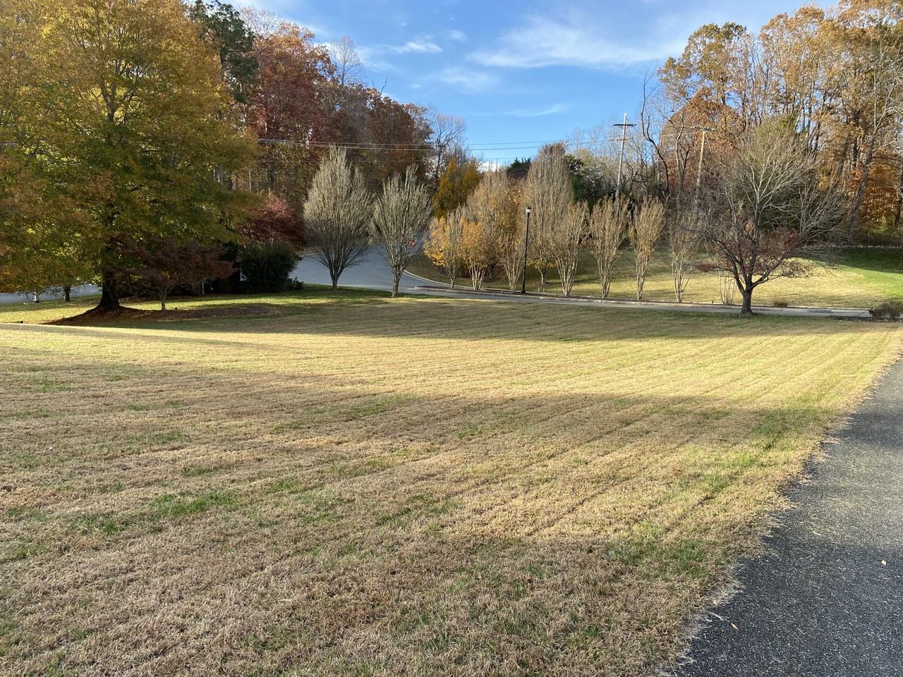 100 Beacon Hill Place #NA - Photo 5 of 34