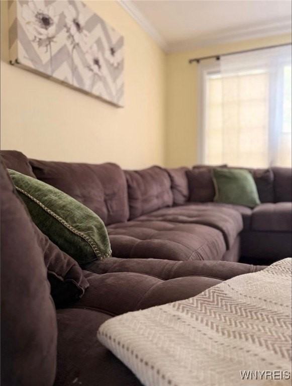 30 Manlon Ter - Photo 5 of 47