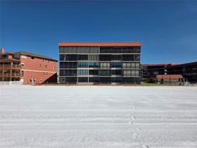 17580 Gulf Blvd #311 - Photo 1 of 1