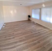 Thunderbird - Photo 1 of 1