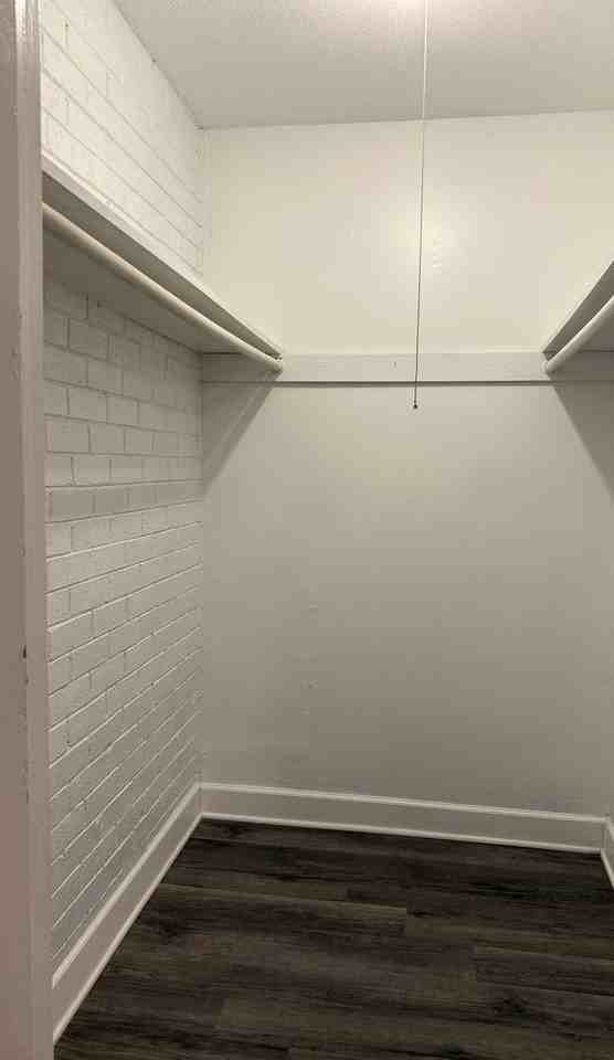 Columbia Rising - Photo 5 of 17