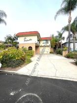 PALM46 - Photo 1 of 1