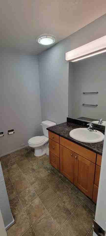 4538 18th Ave NE - Photo 5 of 32