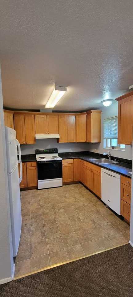4538 18th Ave NE - Photo 3 of 32