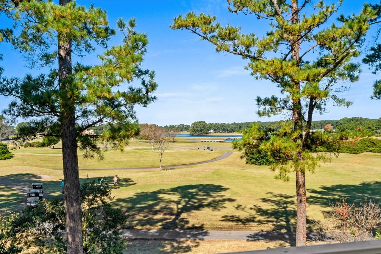 5000 Windsor Green Way - Photo 7 of 50