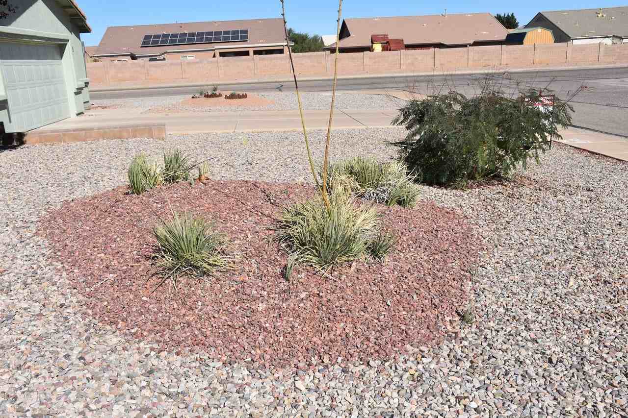 1478 Calle Esperanza - Photo 6 of 38