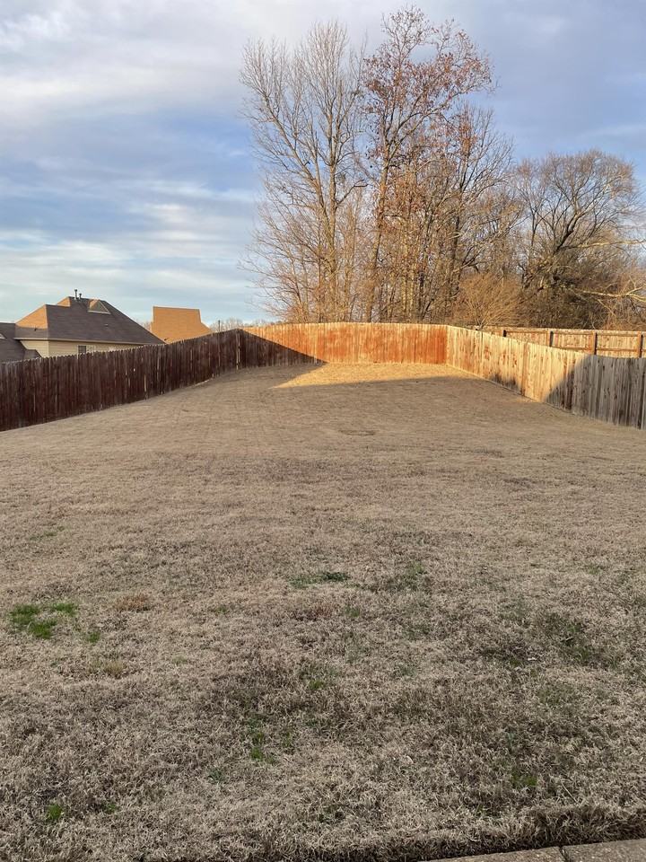 10230 Adikson Dr - Photo 4 of 24