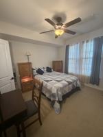 featured image of 25989 Braided Mane Ter