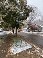 featured image of 1856 S Rundle Ave