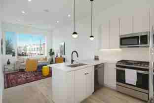 Stunning Apartment on Snyder Ave - Photo 1 of 1