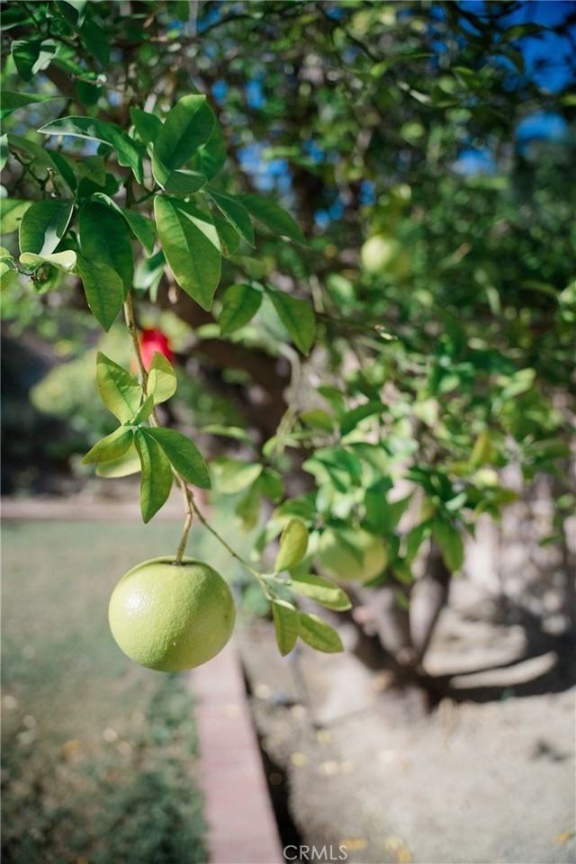 23035 Cecelia - Photo 5 of 30