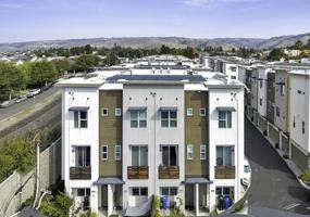 featured image of 37335 Duckling Ter