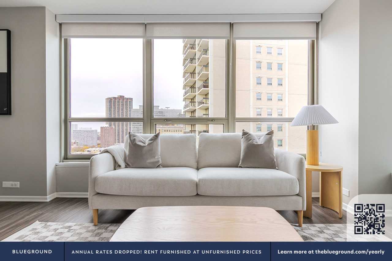 3450 North Lake Shore Drive - Photo 3 of 37