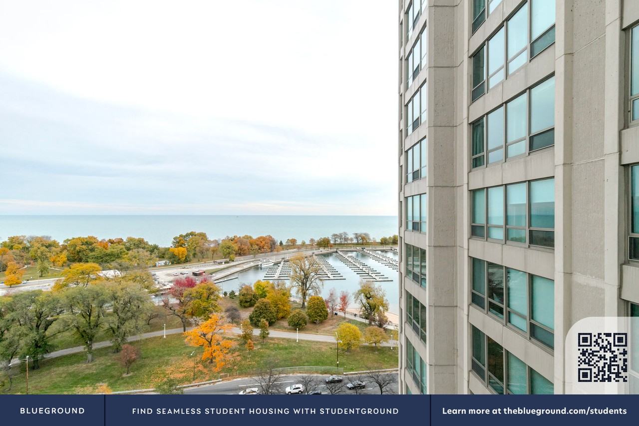 3450 North Lake Shore Drive - Photo 6 of 37