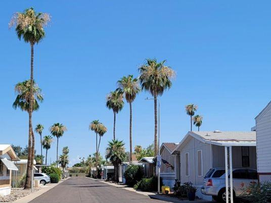 Orange Grove - Photo 2 of 50