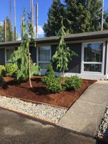 844 Phoenix St Ne - Photo 1 of 1