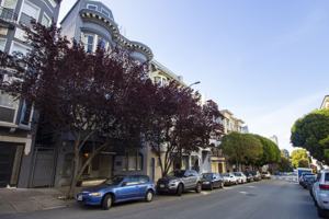 featured image of 1225 Taylor St