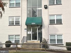 4254 Buckman Rd Apt 5 #5 - Photo 1 of 1