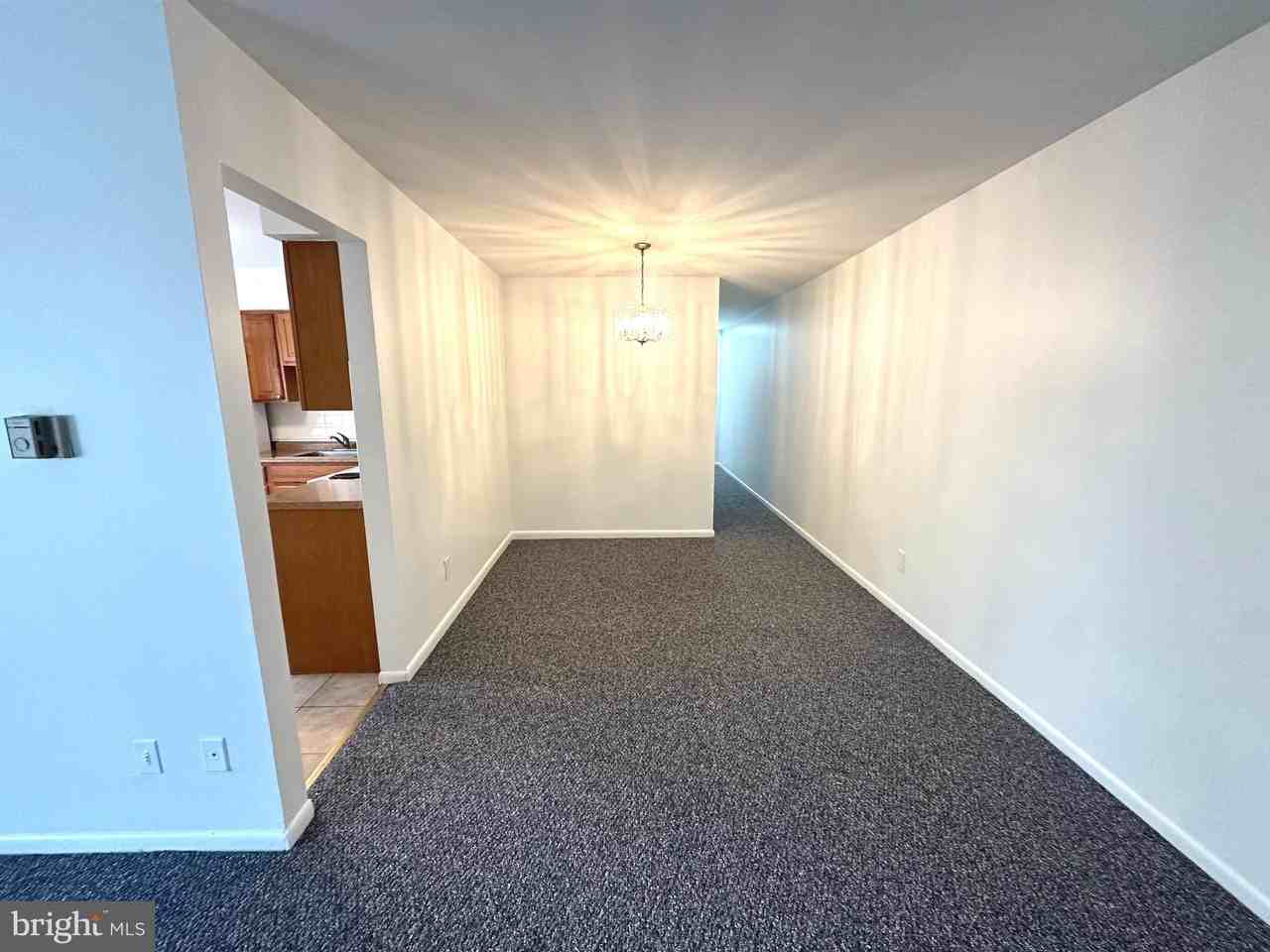 4254 Buckman Rd Apt 5 #5 - Photo 4 of 20