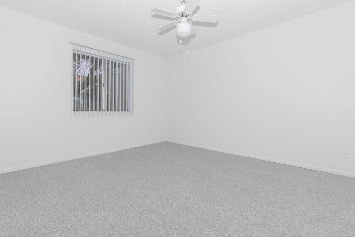 2929 E 6th St - Photo 2 of 16