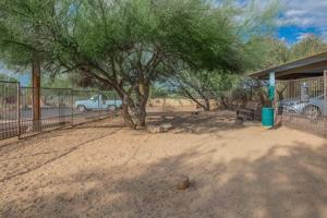 featured image of 9095 N Oracle Rd