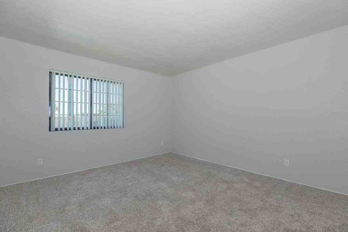 8215 N Oracle Rd - Photo 6 of 31