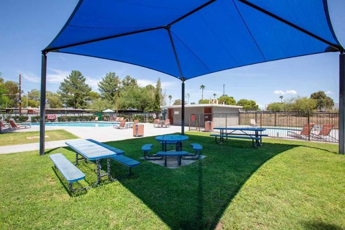 6534 E Stella Rd - Photo 2 of 24