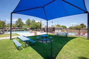 featured image of 6534 E Stella Rd