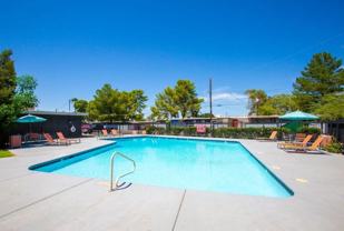 6534 E Stella Rd - Photo 1 of 1