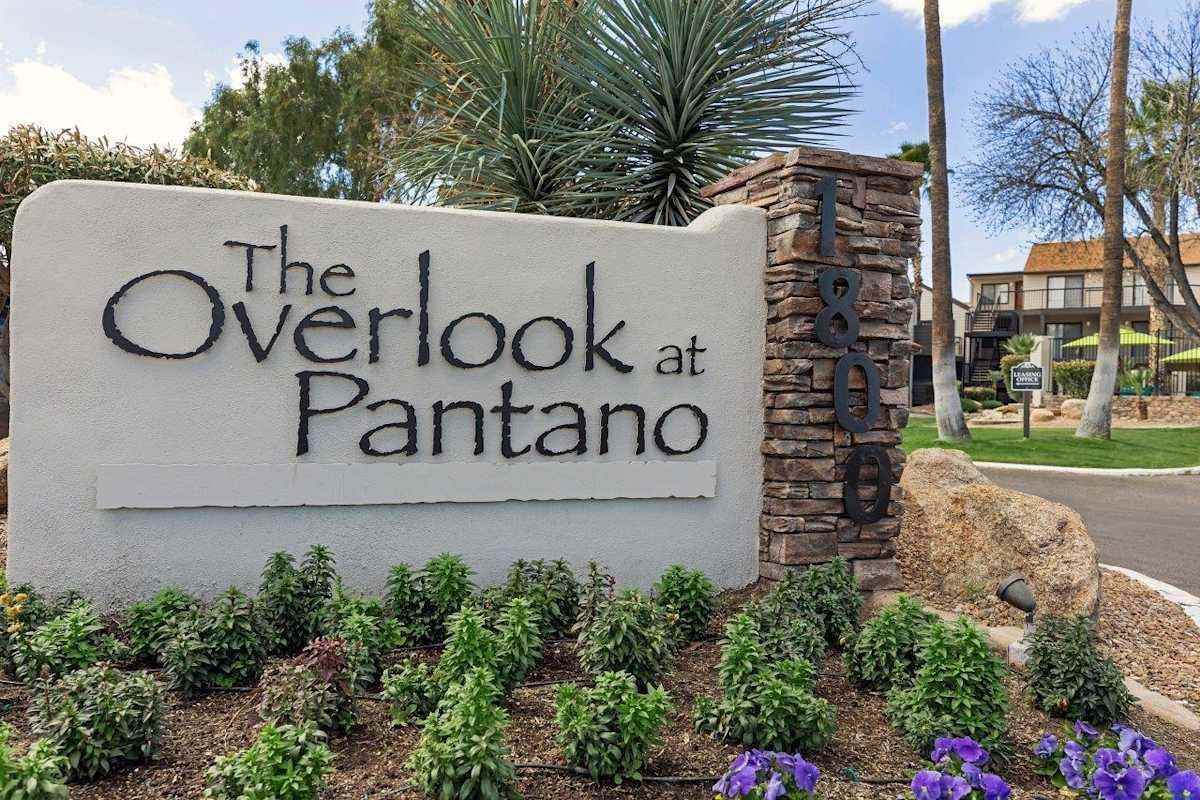 1800 S Pantano Rd - Photo 3 of 25