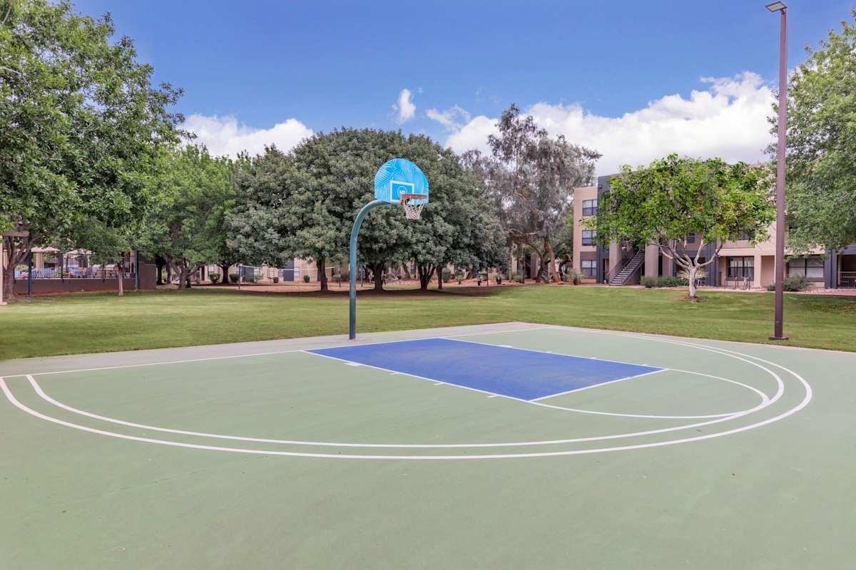 850 East Wetmore Road - Photo 6 of 22