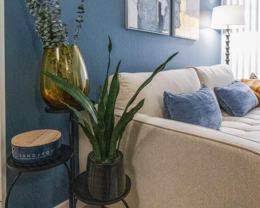 225 Clifton St - Photo 1 of 1