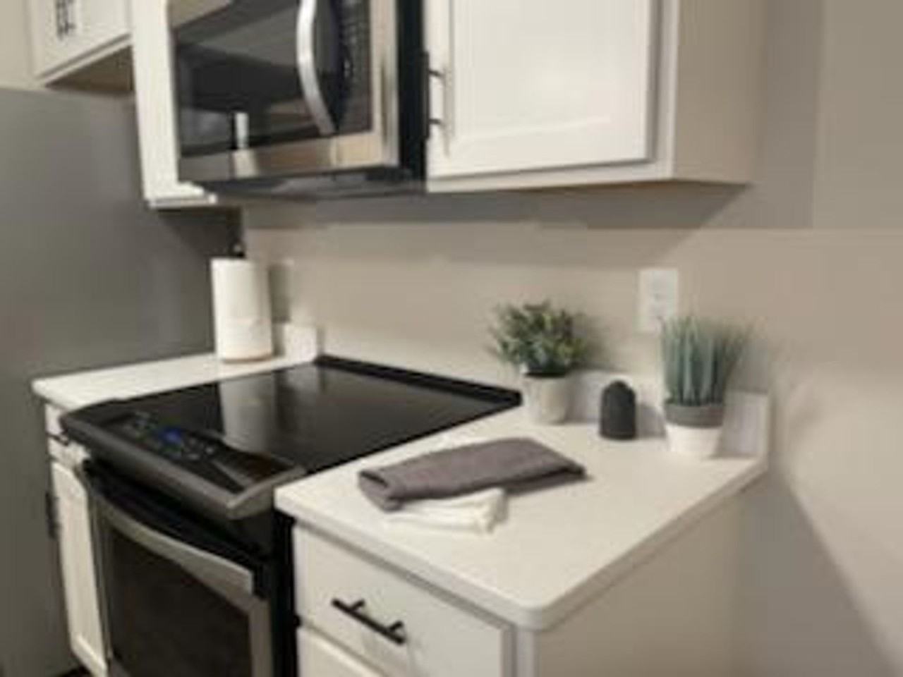 Shady Lane Apartments - Photo 4 of 29
