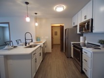 Shady Lane Apartments - Photo 1 of 1