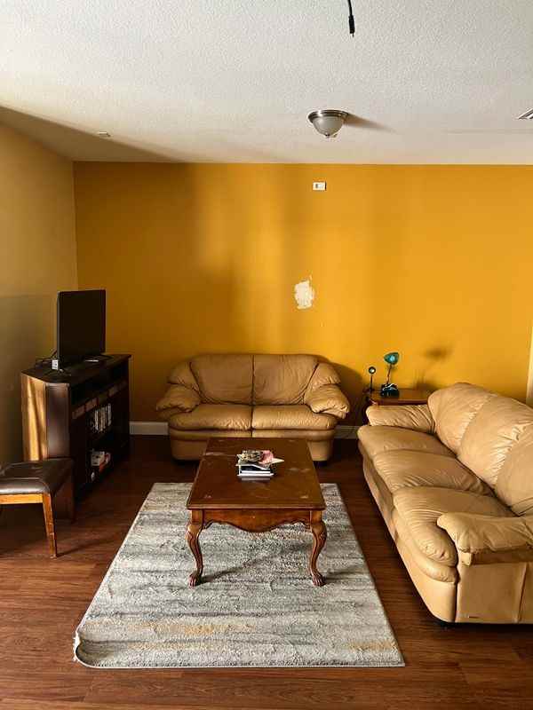 10617 Shady Falls Court - Photo 2 of 19