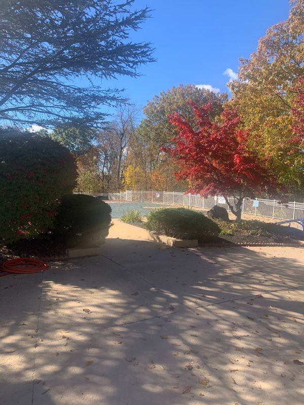 11 Carriage Crossing Ln - Photo 7 of 9