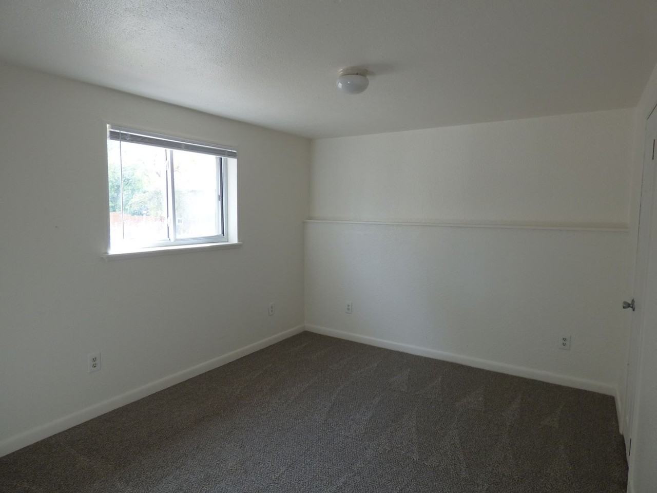 125 Judson Street - Photo 7 of 12