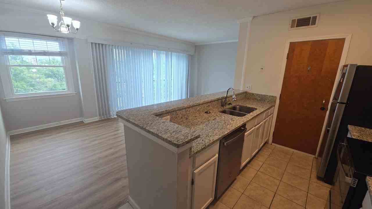 2009 Greene St #501 - Photo 3 of 19