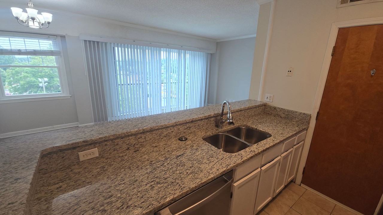 2009 Greene St #501 - Photo 7 of 19