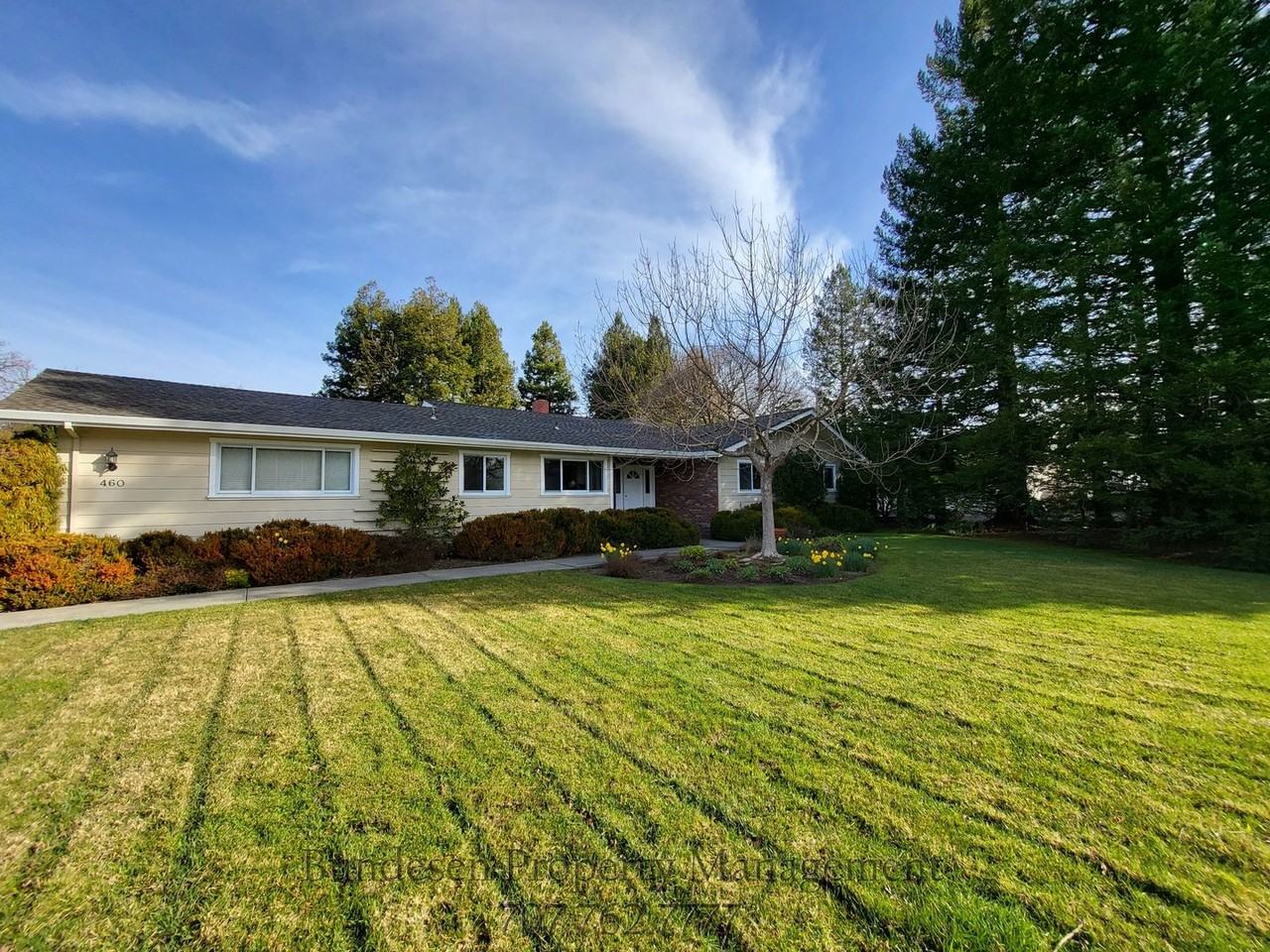 460 Piezzi Ln - Photo 2 of 22