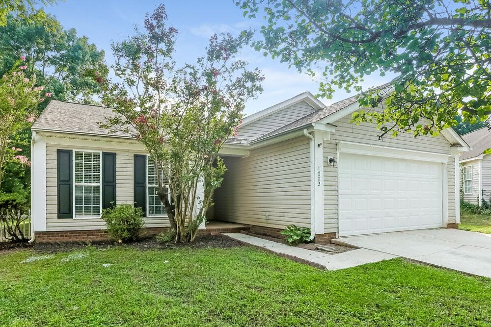 1003 Salmon River Dr - Photo 4 of 16