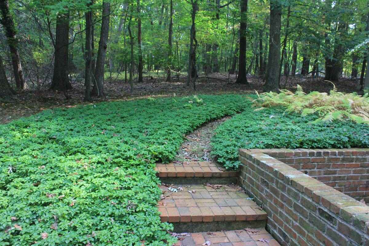 734 Trephanny Lane #NA - Photo 5 of 28