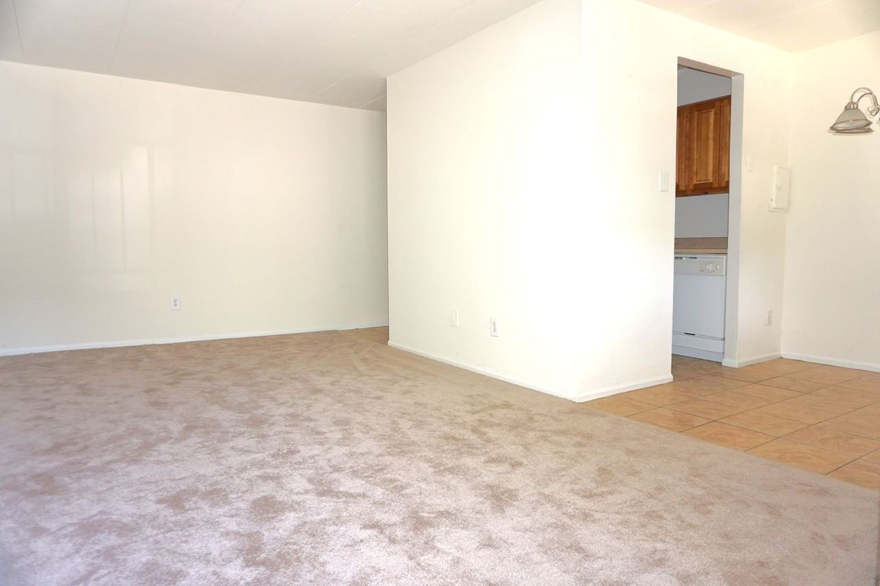 Ridgeway Court Apartments - Photo 7 of 17