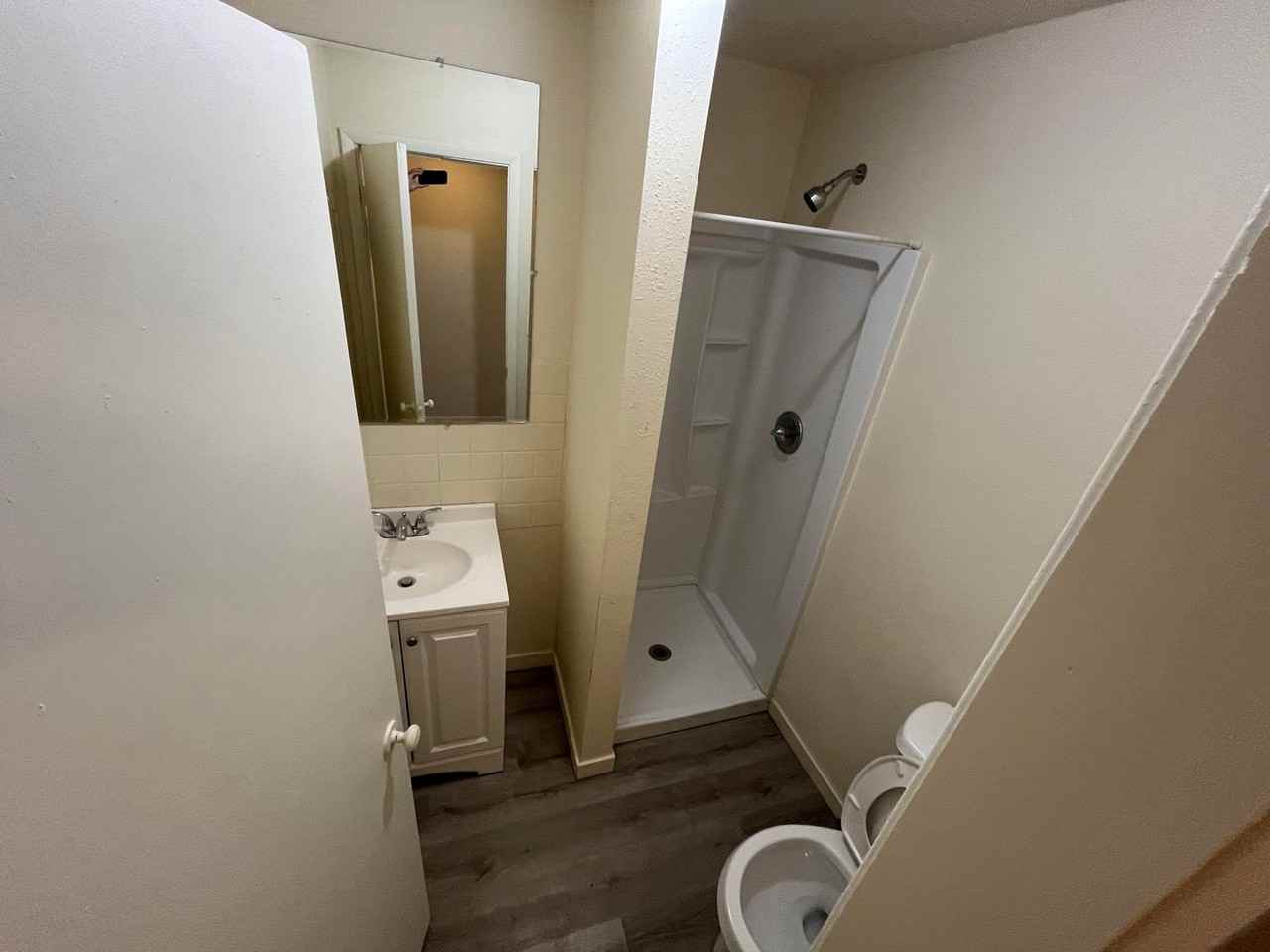 RENT SUX - 110 ALDERSON STREET - Photo 3 of 8