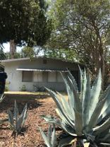 High Street (DD) - Photo 1 of 1