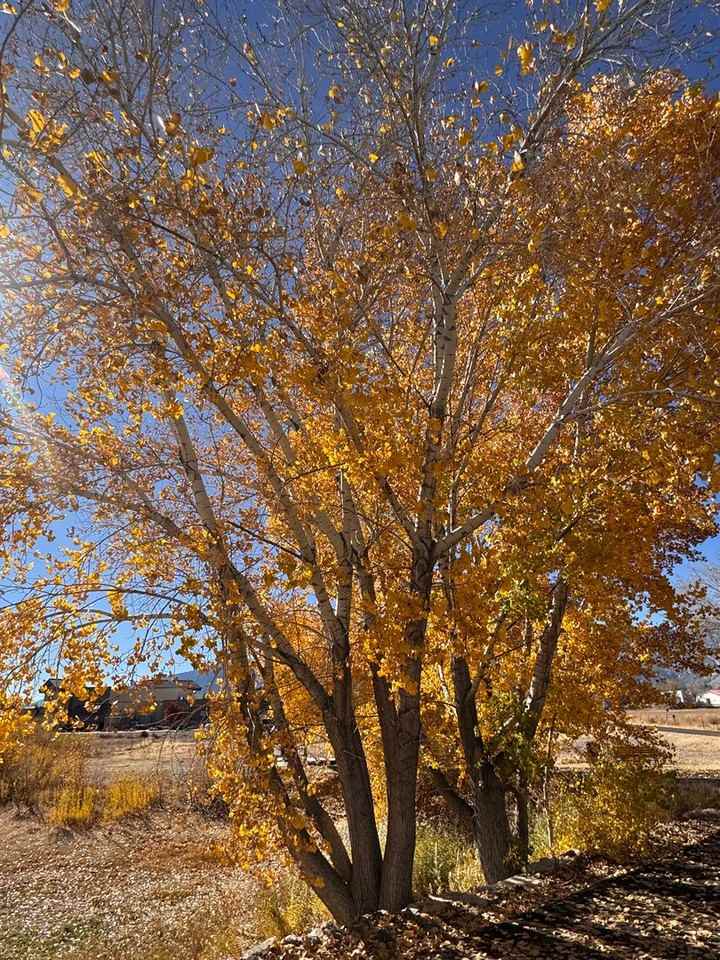 348 Cattail Circle - Photo 2 of 35