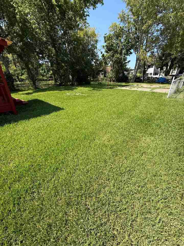 1610 Prairie St - Photo 7 of 12