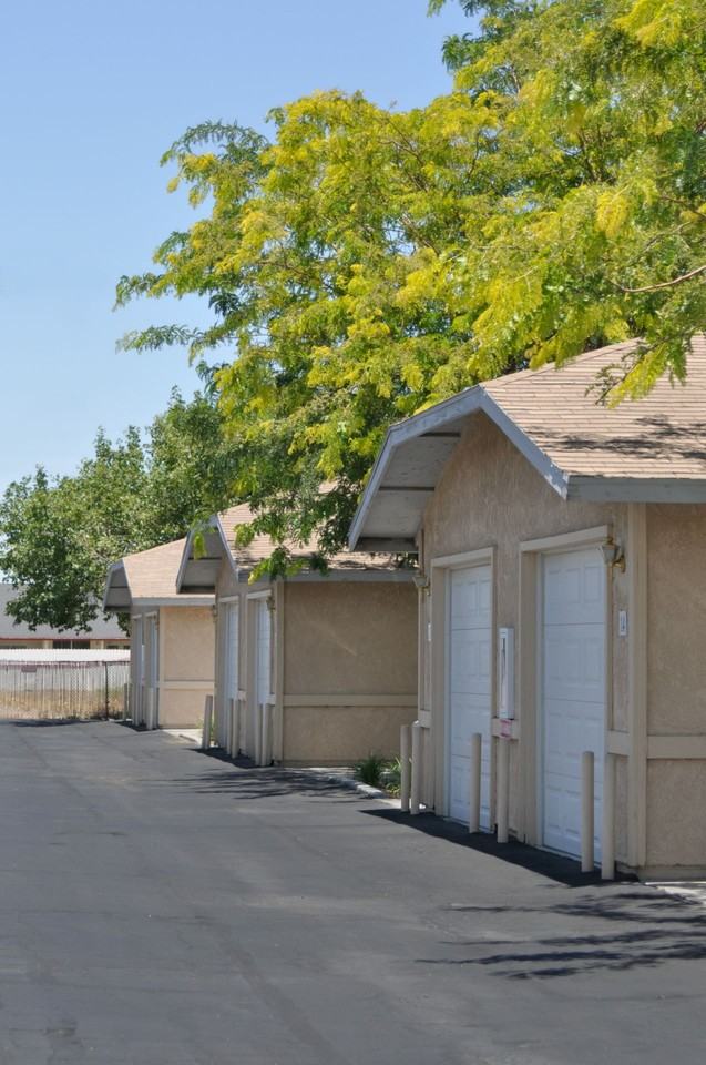 Desert Palms - Photo 2 of 14